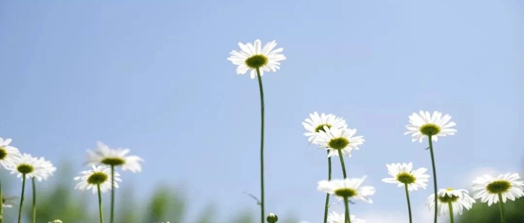 一个人靠不靠谱，就看这 8 个细节！狠准！