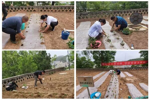 我校开展“种好党员责任田、守好党建主阵地”主题党日活动 第 3 张