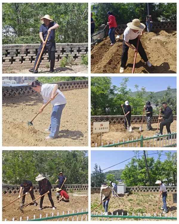 我校开展“种好党员责任田、守好党建主阵地”主题党日活动 第 1 张