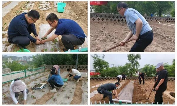 我校开展“种好党员责任田、守好党建主阵地”主题党日活动 第 4 张