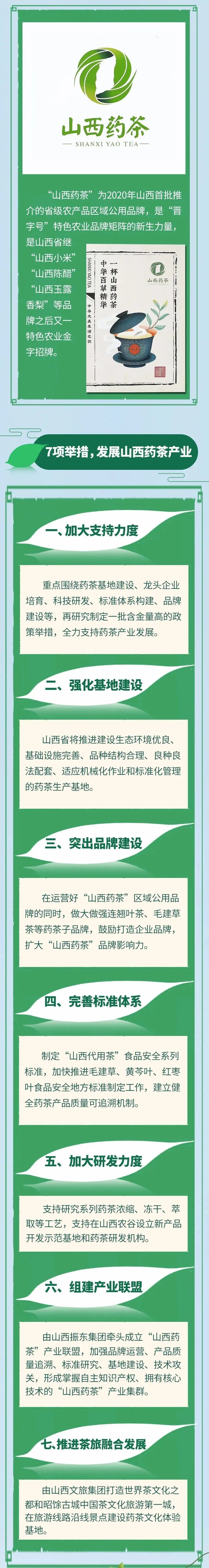 山西药茶终将成为第七大茶系……_品牌