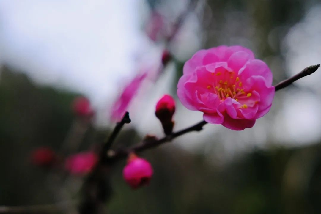 学小孩儿哭_小孩听王菲的歌哭_小孩学新知识会哭