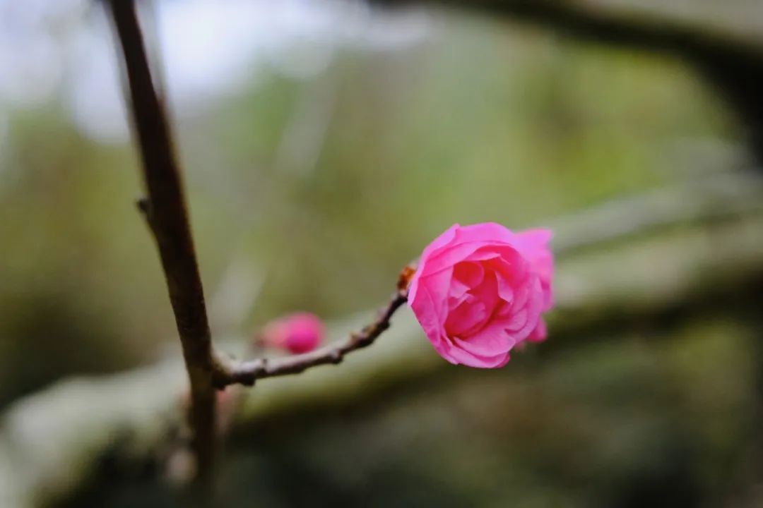 学小孩儿哭_小孩听王菲的歌哭_小孩学新知识会哭