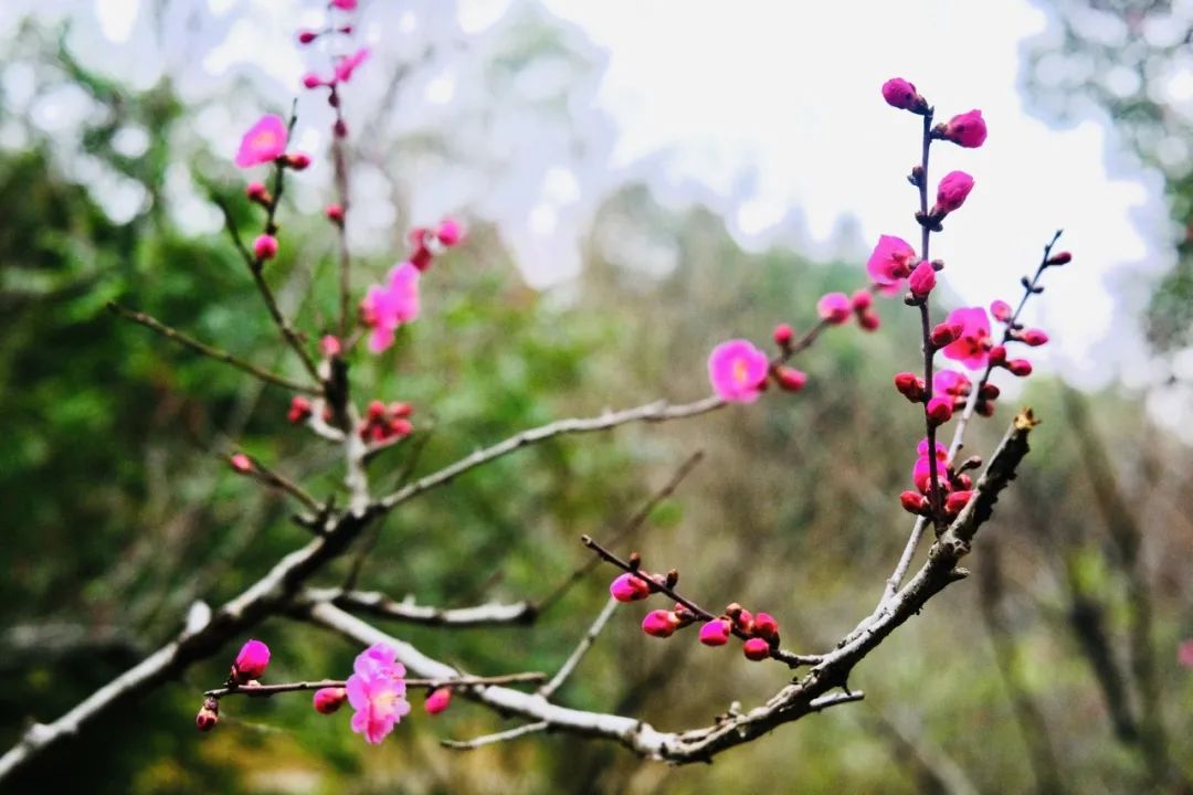 小孩听王菲的歌哭_学小孩儿哭_小孩学新知识会哭