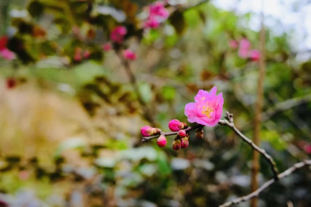 学小孩儿哭_小孩学新知识会哭_小孩听王菲的歌哭