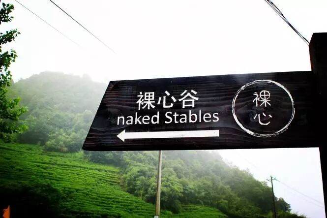 深度解读：中国最赚钱的度假村之一“裸心谷”