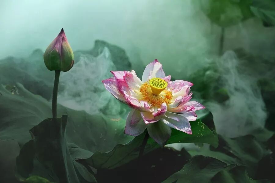 忠恕之道的恕道指的是_忠道与恕道_忠恕之道什么意思