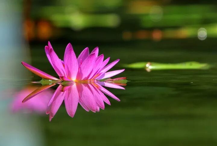 忠道与恕道_忠恕之道的恕道指的是_忠恕之道什么意思