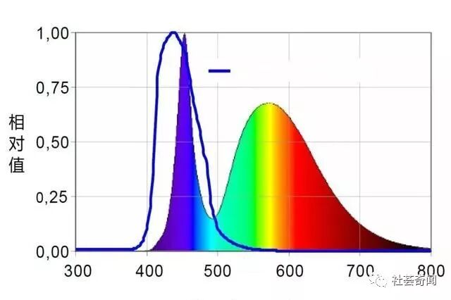 我们生活的世界 原本到底是什么样子 让全色盲的眼睛告诉你 社荟奇闻 微信公众号文章阅读 Wemp