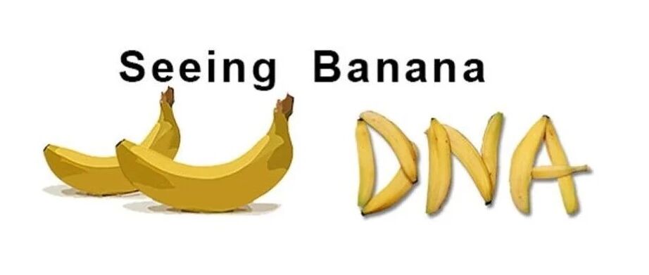 Banana Store Интернет Магазин