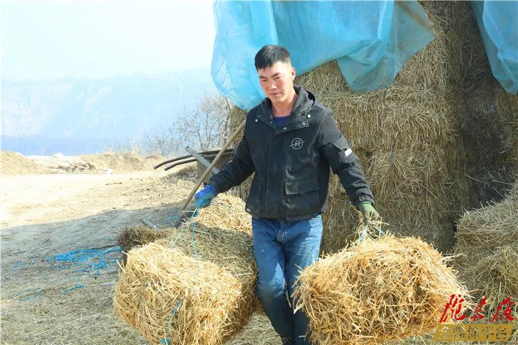 致富经养殖_致富养殖信息_致富养殖蝎子