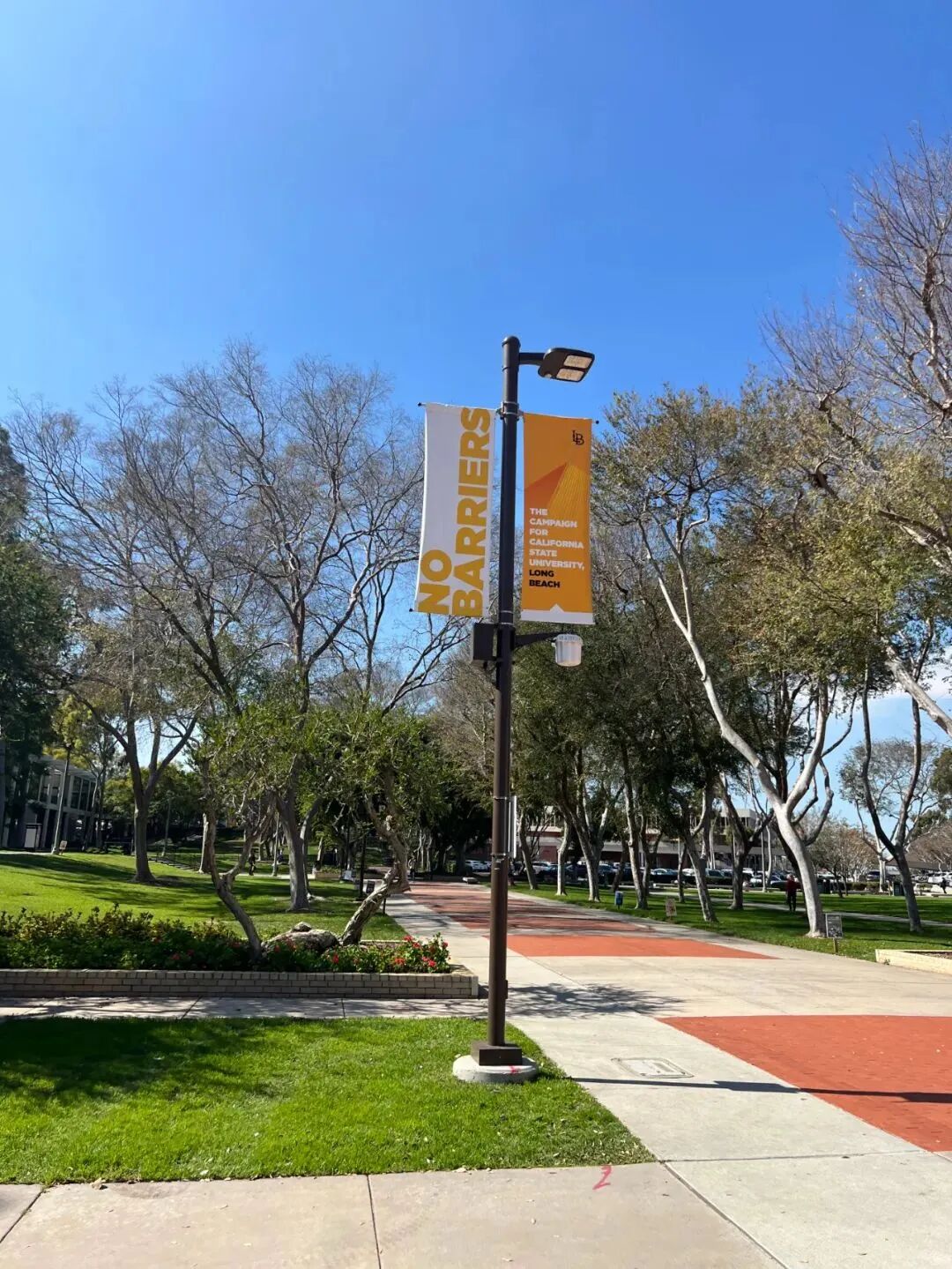 美国访学生活体验我在美国学开车