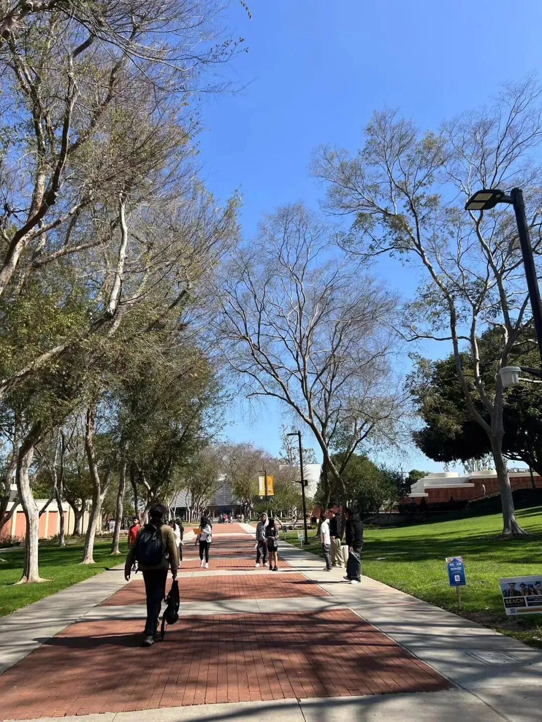 美国访学生活体验我在美国学开车