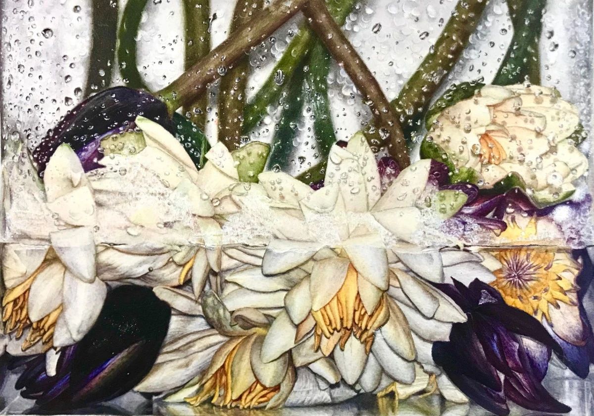 王志耿 《共生》21cmx30cm.jpg