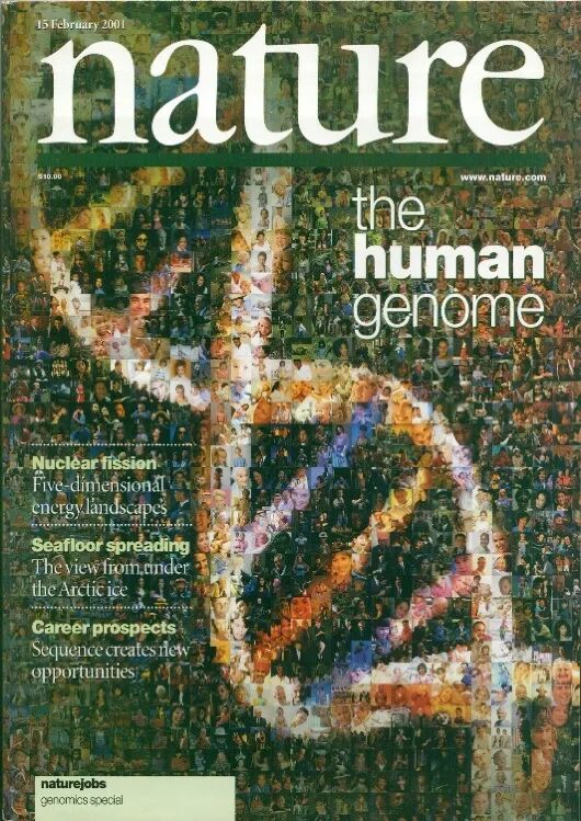 《自然》(nature)杂志封面瑞典的诺贝尔博物馆陈列了一把两米长的尺子