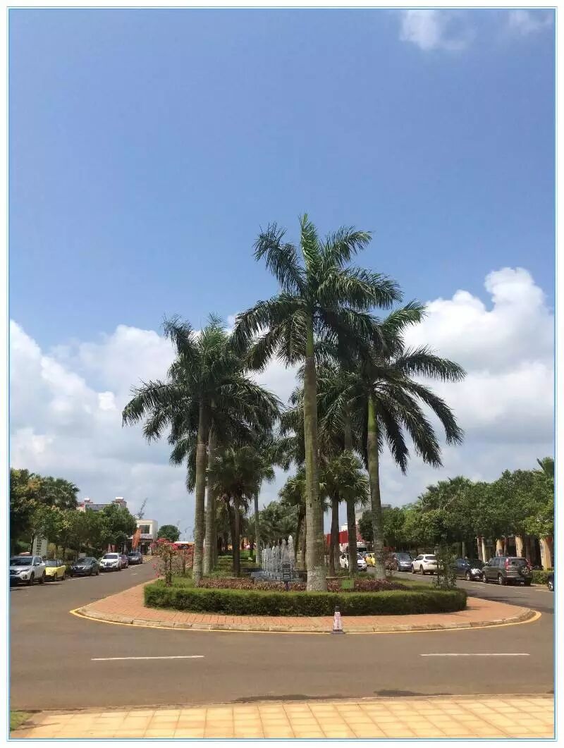 【海南纪事】福山咖啡文化风情小镇游记