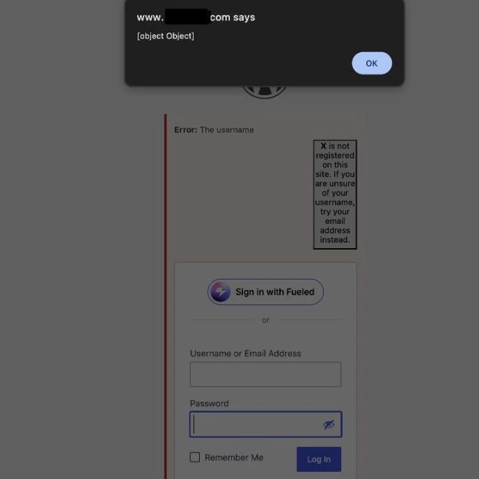Example Image
