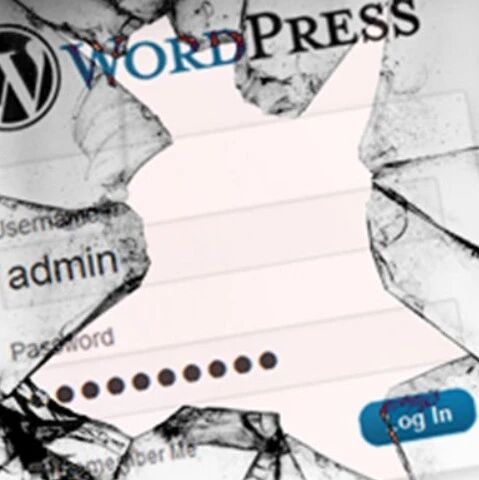 Example Image
