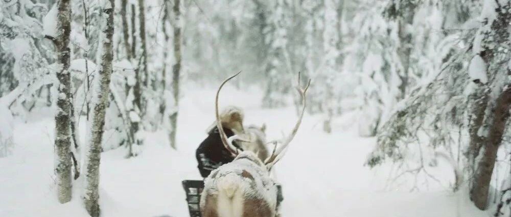 冬天的芬兰，会有什么美好邂逅吗~