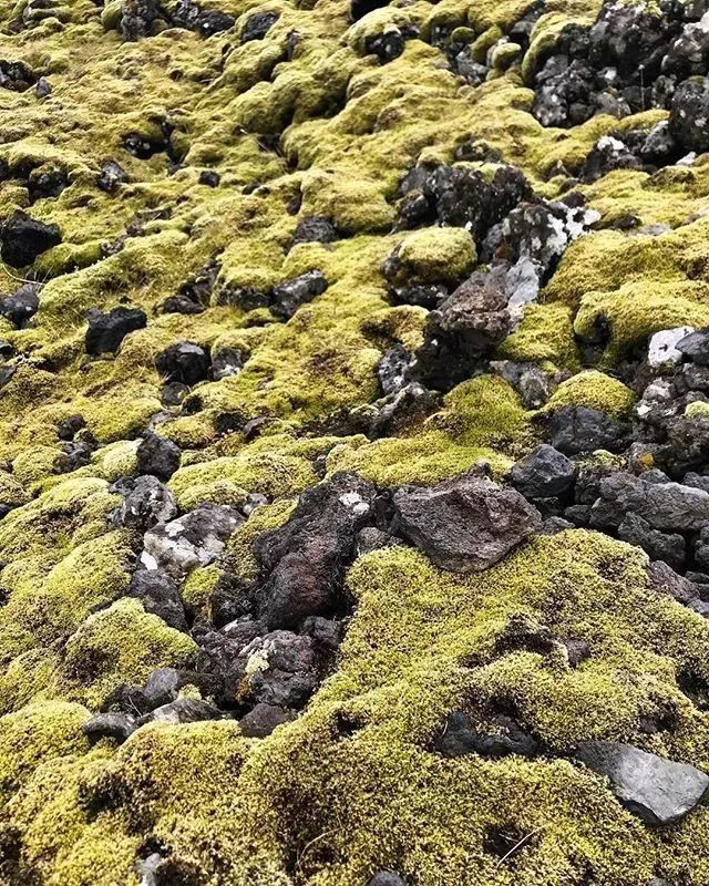 冰島，「荒涼」與熱鬧並存之地 旅遊 第23張