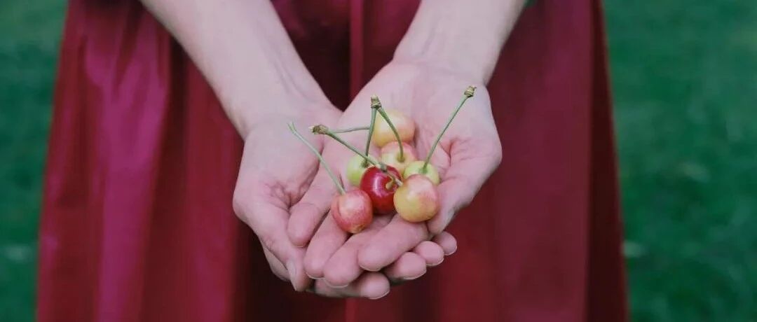 夏天来菲英岛，感受丹麦的明媚~