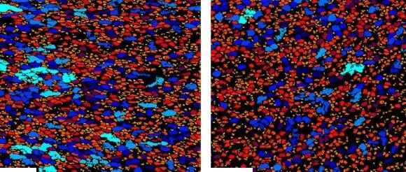 天津大学材料学院何春年团队Nature Materials：耐500℃超强铝合金