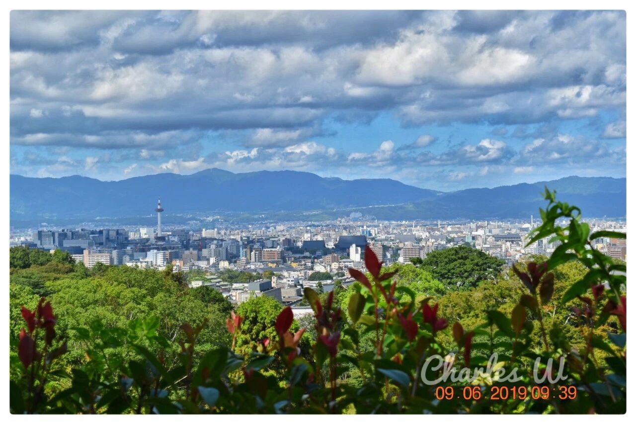 风城黑鹰 文学城博客
