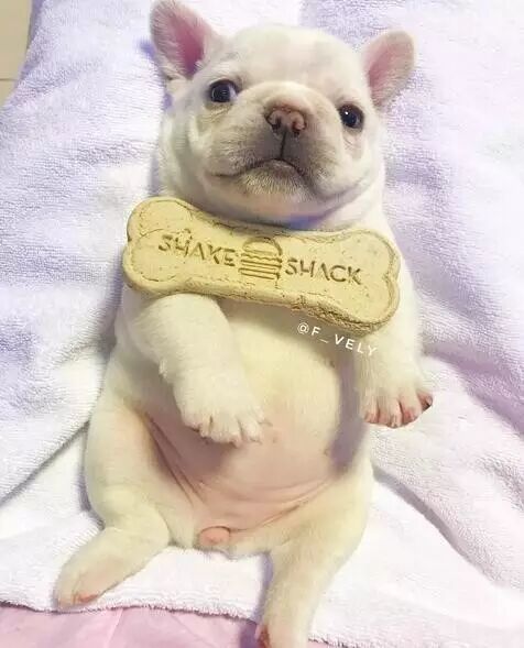 这圆鼓鼓的小肚纸,你到底吃了多少?