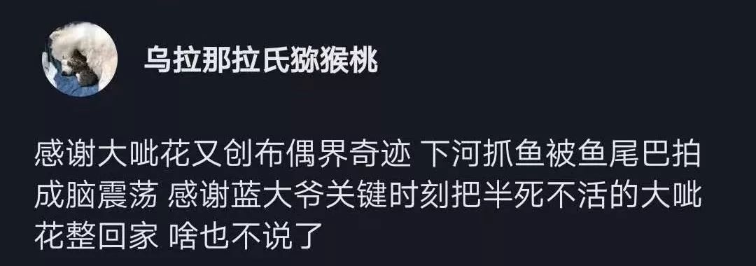 三隻薩摩組隊在小區裡薅鵝毛，物業哭了：我們已經無能為力！ 寵物 第16張