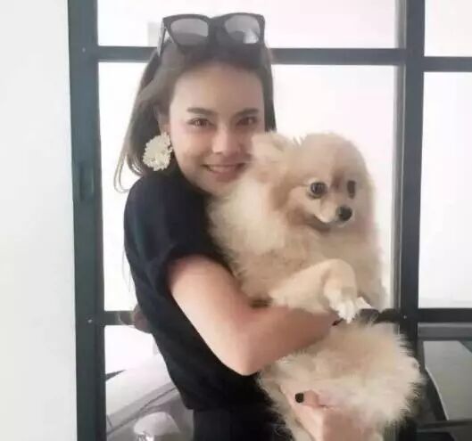 帶狗上班就給你漲薪水！網友紛紛炸了：想跳槽...... 寵物 第3張