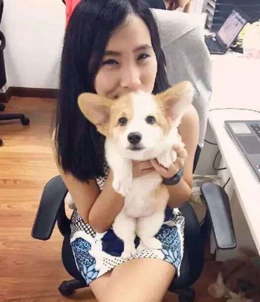 帶狗上班就給你漲薪水！網友紛紛炸了：想跳槽...... 寵物 第7張