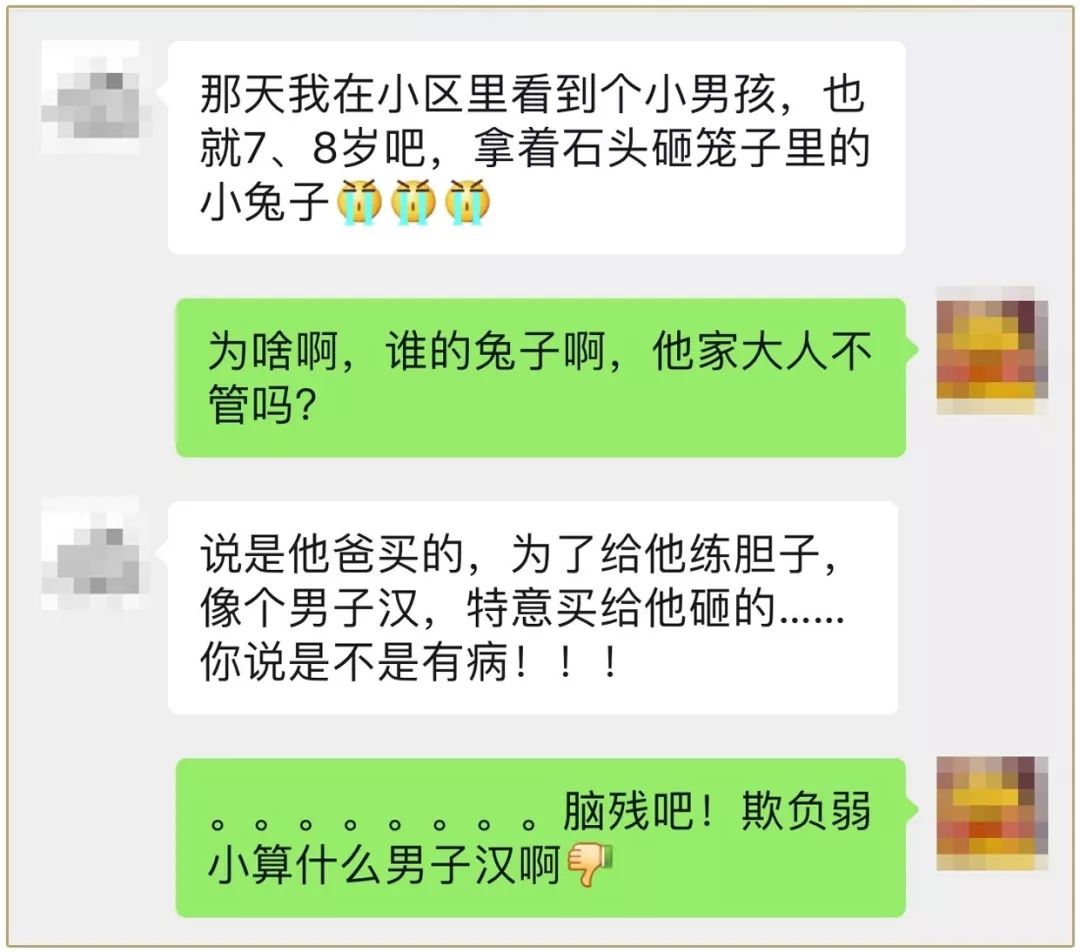 袁詠儀談讓兒子養寵物：你先從撿屎開始…… 寵物 第10張