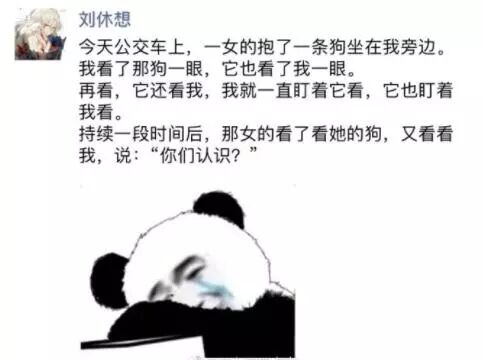 你知道吗？也许你家狗狗的社交能力比你强太多