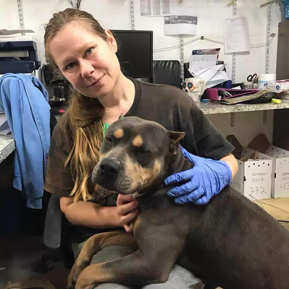 「狗狗正在我老公車上生娃……請千萬不要告訴他！」 寵物 第1張