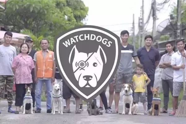 為了讓更多人接受流浪狗，泰國政府想出了這樣一個辦法！ 萌寵 第14張