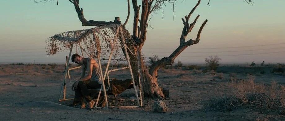 王小波：当我真正的跨入人世，才看到人性的真相