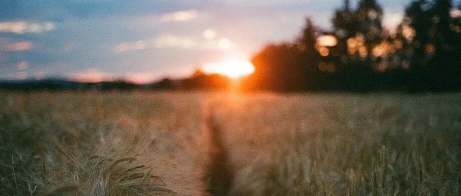 洛克菲勒：天堂与地狱比邻