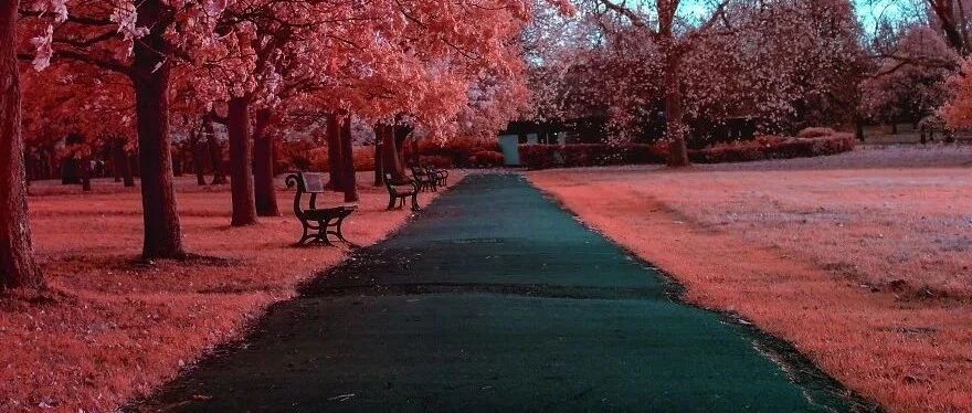 什么是“真正的爱”？