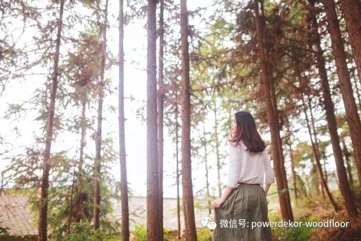 白蠟木又叫什么木_白蠟木地板優(yōu)缺點(diǎn)_白蠟木和梓木哪個(gè)好