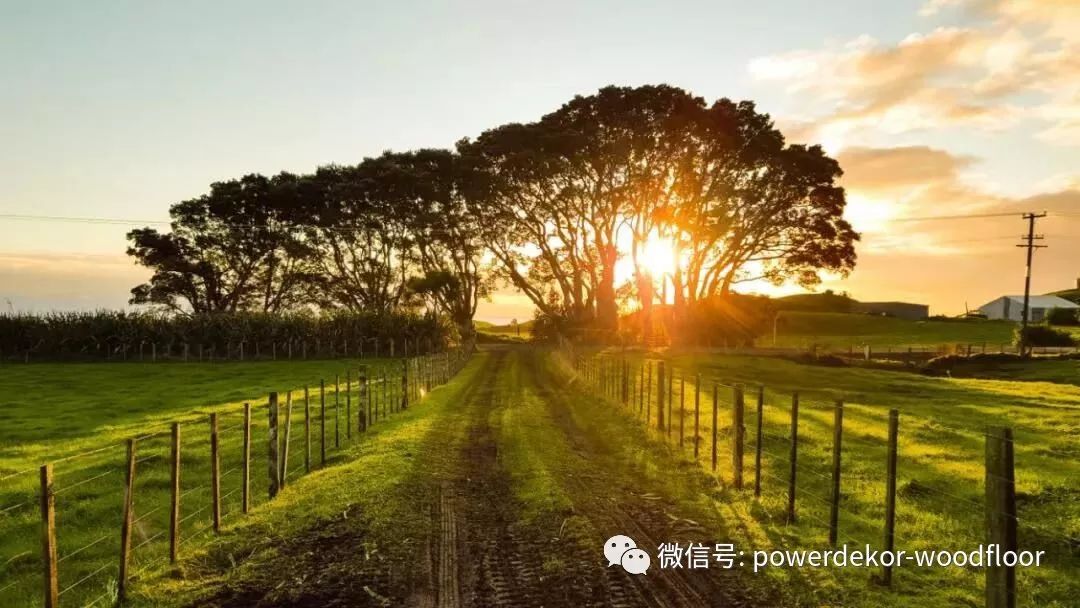 昆山雅居樂房子錢一個平方_靜電地板多少一個平方_家庭木地板多少錢一平方