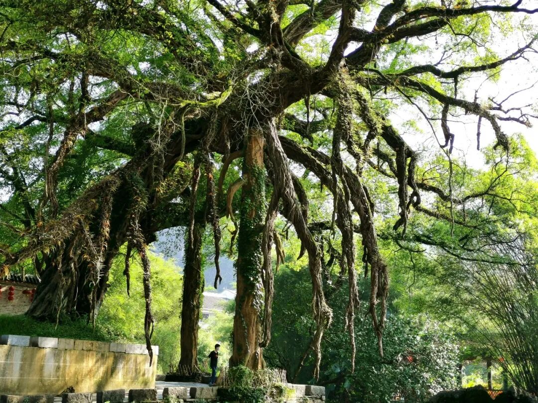 广西黄姚古镇实用游玩攻略