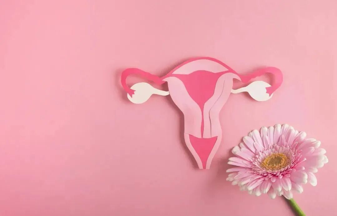 宫颈器怎么使用宫颈节育器就是环，有寿命！忘了取，有伤害！_https://www.jmylbn.com_新闻资讯_第3张