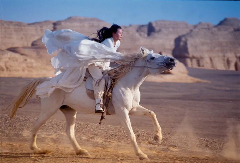 进口胶片有哪些中 国 引 进 片 30 年 类 型 考 察_https://www.jmylbn.com_新闻资讯_第12张