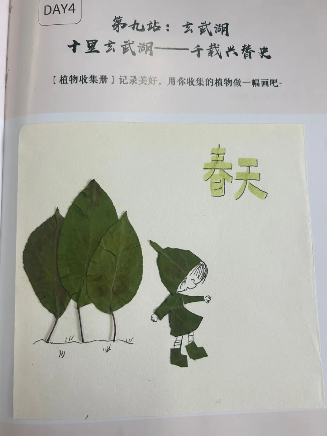 图片