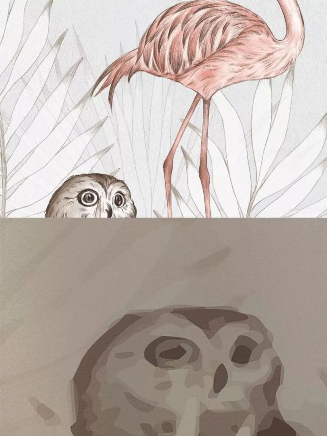 网红壁纸都是坑 邻居万分羡慕款 100位网友帮你选好了 菠萝斑马居住指南 微信公众号文章阅读 Wemp