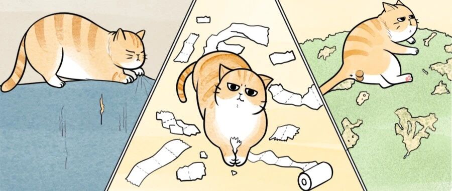 当猫咪独自在家