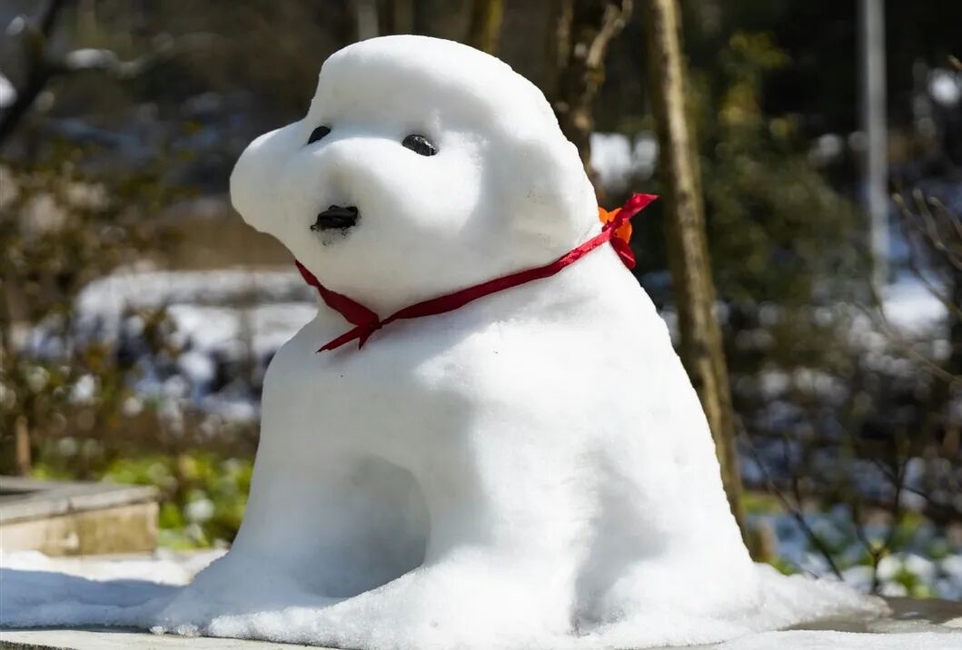 2月囿于厨房昼夜与爱