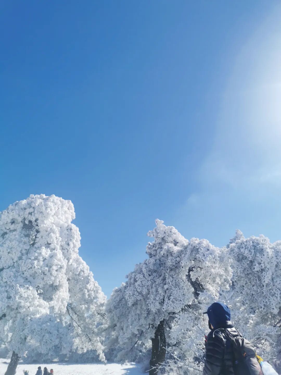 2月囿于厨房昼夜与爱
