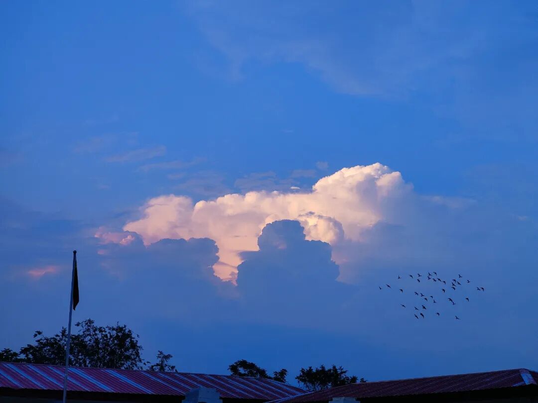 一年前,她穿着蓝色的长羽绒服,拿着电脑在火车车厢里四处找插座办公