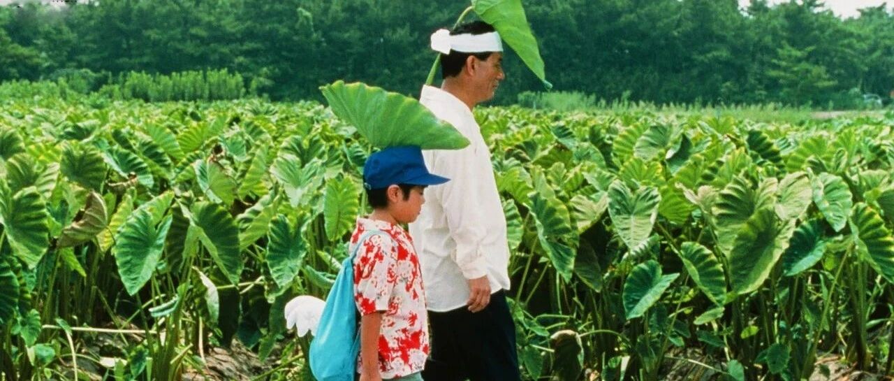 这个夏天，我的命是「快乐水」给的